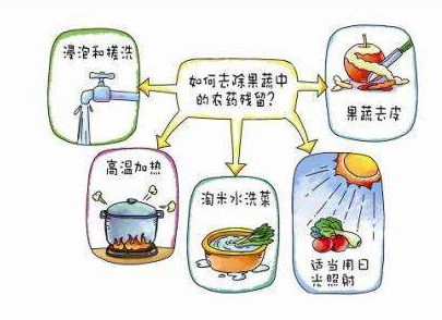 如何減少農(nóng)藥污染去除農(nóng)藥殘留？振華化工總結(jié)以下幾點(diǎn)分享給大家